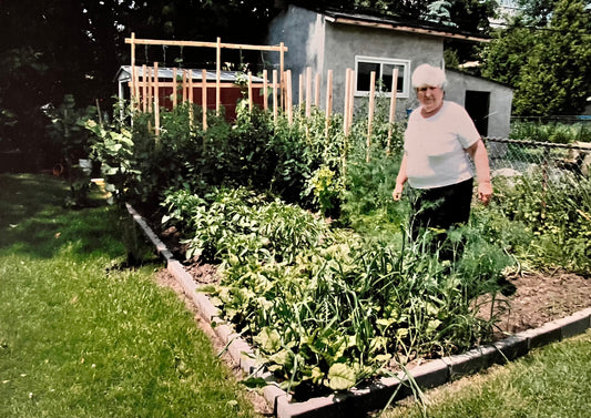 Baka's Garden: Where it all started